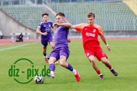 TSVS-SPVGGH-20250829-1R520085
