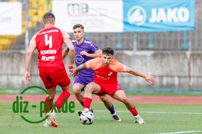 TSVS-SPVGGH-20250829-1R520109