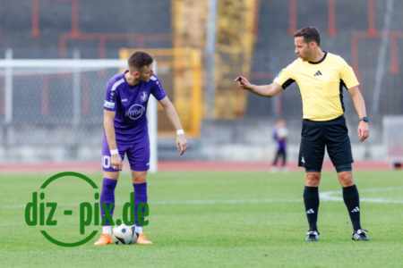 TSVS-SPVGGH-20250829-1R520156