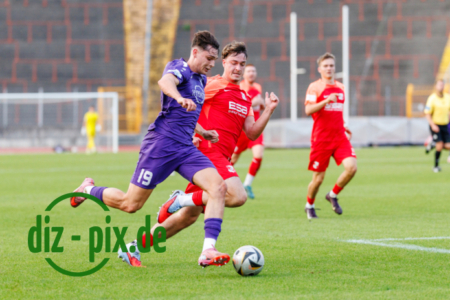 TSVS-SPVGGH-20250829-1R520290