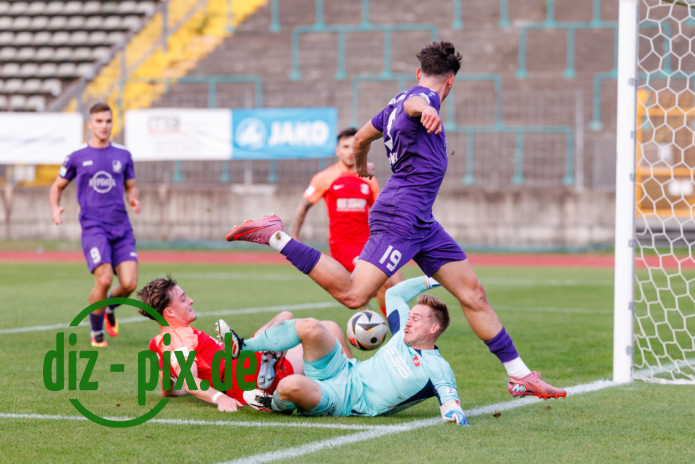 TSVS-SPVGGH-20250829-1R520338