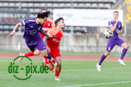 TSVS-SPVGGH-20250829-1R520384