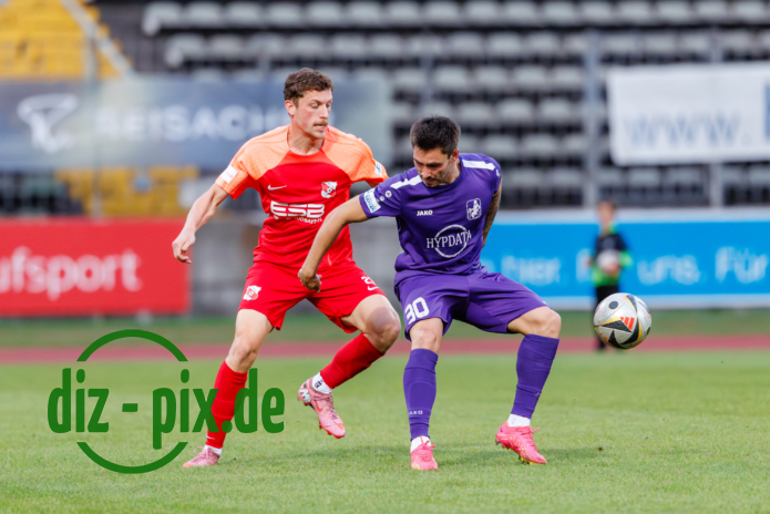 TSVS-SPVGGH-20250829-1R520653