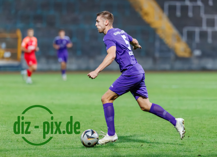 TSVS-SPVGGH-20250829-1R520848