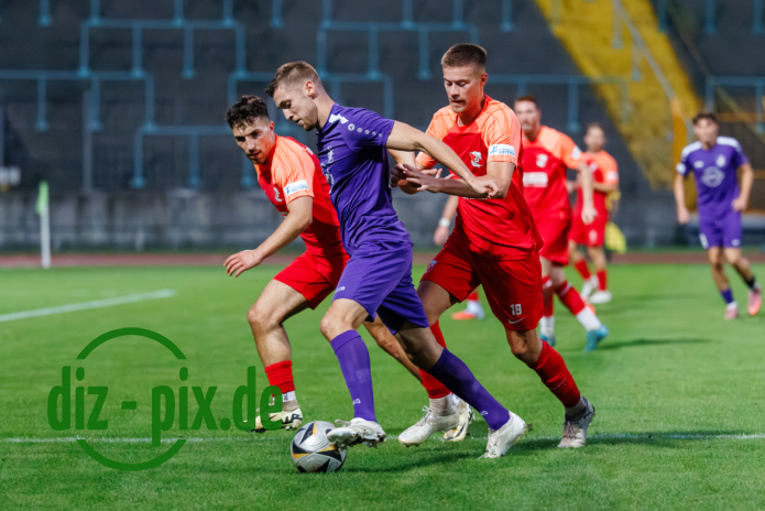 TSVS-SPVGGH-20250829-1R520902