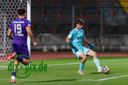 TSVS-SPVGGH-20250829-1R520975