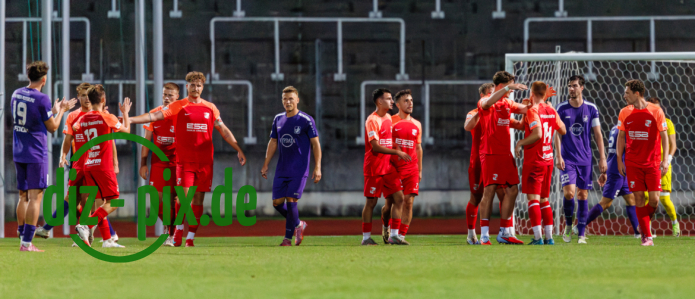 TSVS-SPVGGH-20250829-1R520998