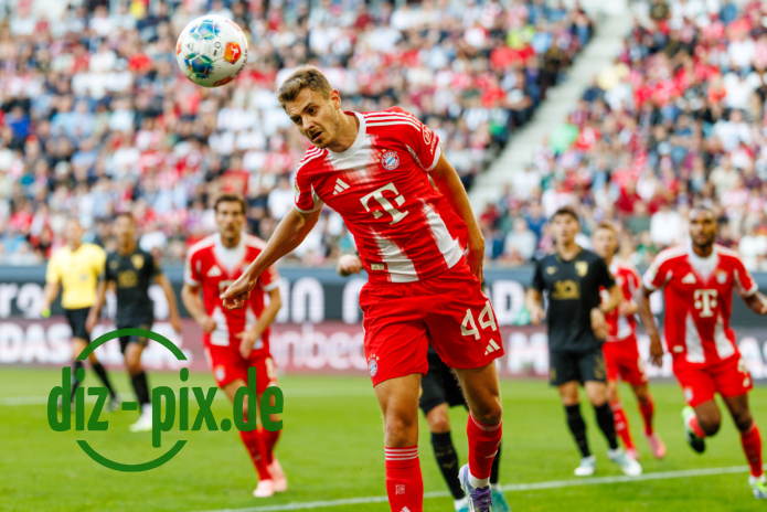 FCA-FCB-20250830-1R520594