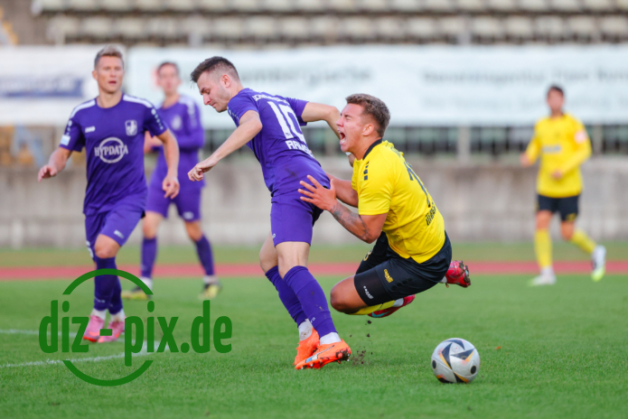 TSVS-SPVGGB-20250905-1R525589