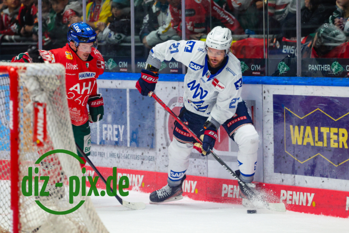 AEV-MAN-20250914-1R522311