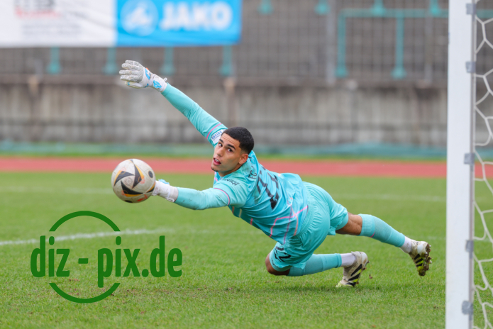 TSVS-FCA2-20251012-1R520559