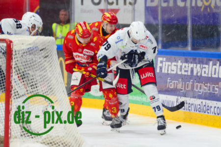 ESVK-BDW-20251102-1R522537