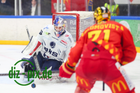 ESVK-BDW-20251102-1R522638