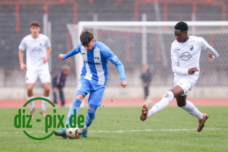 TSVS-FVI-20251108-1R520073