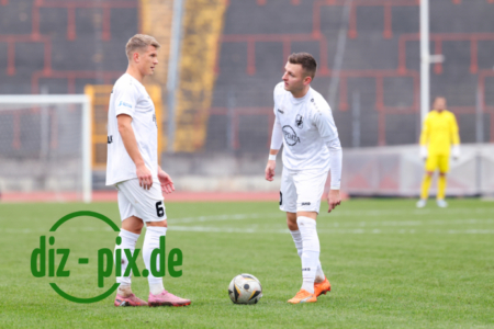 TSVS-FVI-20251108-1R520236