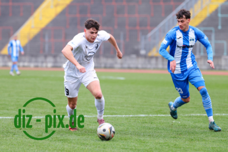 TSVS-FVI-20251108-1R520281