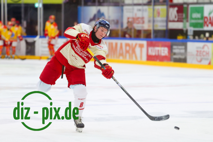 ESVK-DEG-20251114-1R520134