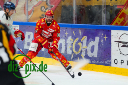 ESVK-DEG-20251114-1R520550