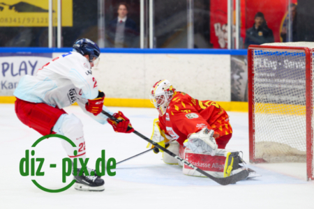 ESVK-DEG-20251114-1R521125