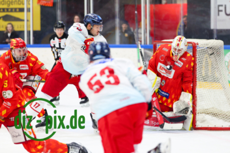 ESVK-DEG-20251114-1R521437