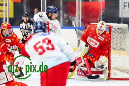 ESVK-DEG-20251114-1R521438