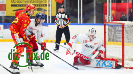 ESVK-DEG-20251114-1R521841