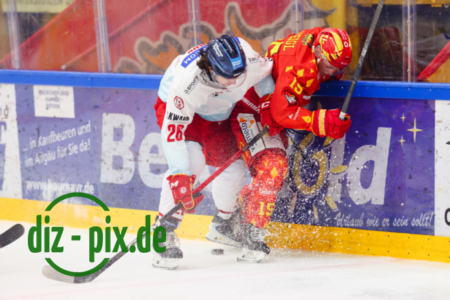 ESVK-DEG-20251114-1R521931