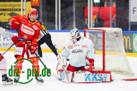 ESVK-DEG-20251114-1R522072