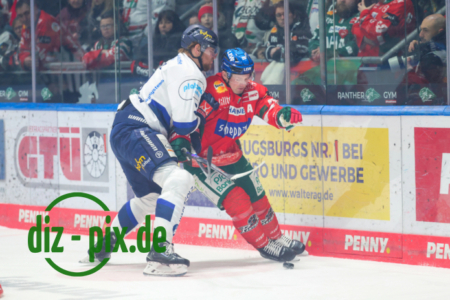 AEV-IEC-20260106-1R521739