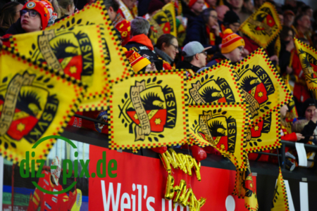 ESVK-ECK-20260116-1R520008