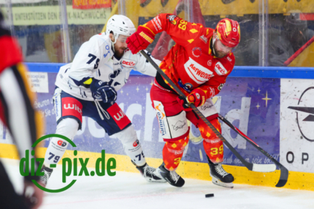 ESVK-BDW-20260123-1R522635