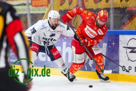 ESVK-BDW-20260123-1R522636