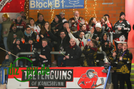 EHCK-PEMI-20260206-1R520022