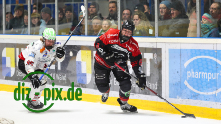 EHCK-PEMI-20260206-1R520650