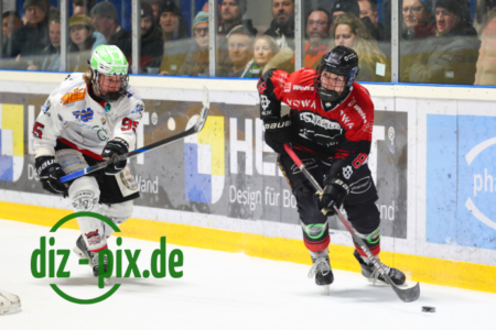 EHCK-PEMI-20260206-1R520653