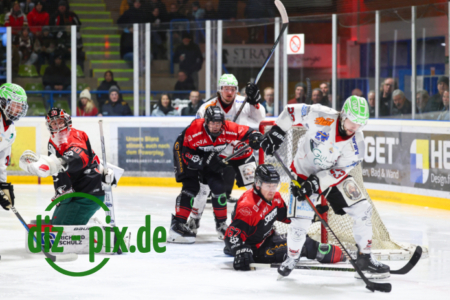 EHCK-PEMI-20260206-1R520747