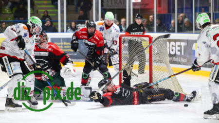 EHCK-PEMI-20260206-1R520758