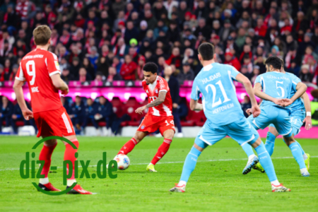 FCB-TSG-20260208-1R520518