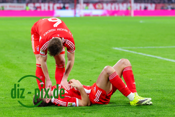 FCB-TSG-20260208-1R520695