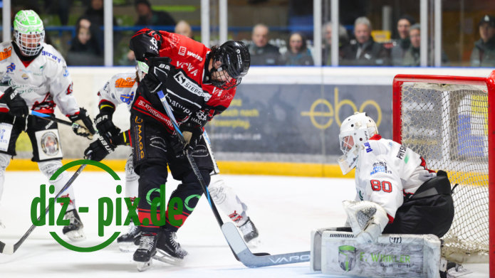 EHCK-PEMI-20260217-1R520194