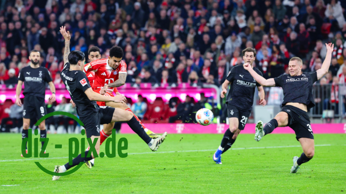 FCB-BMG-20260306-1R520391