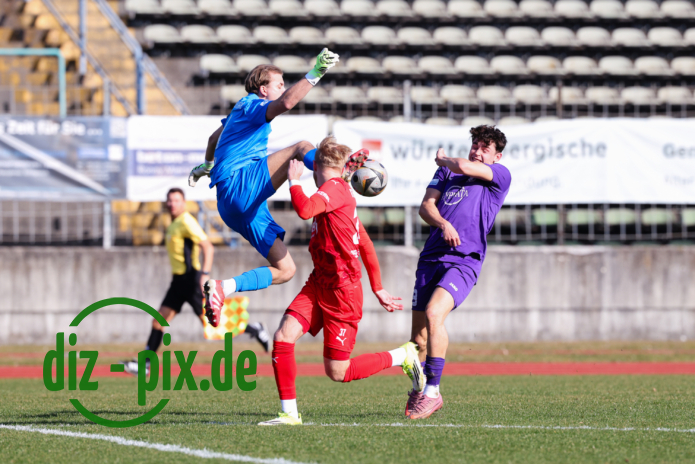 TSVS-TSVB-20260307-1R521182