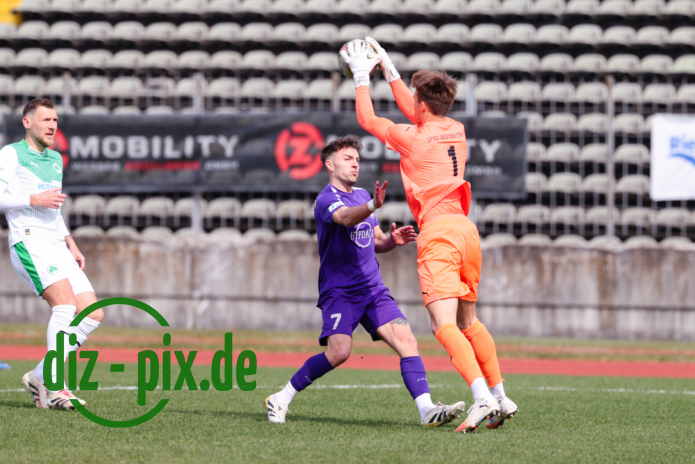 TSVS-SPVGGG-20260328-1R520031