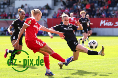 FCBFF-SGS-20260406-1R520167