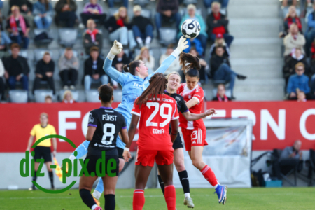 FCBFF-SGS-20260406-1R520512