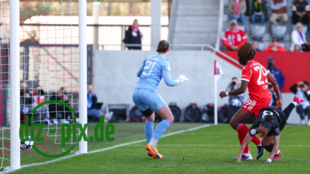 FCBFF-SGS-20260406-1R520536